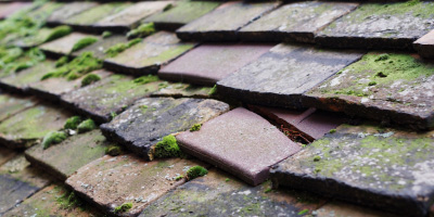 Dawley roof repair costs